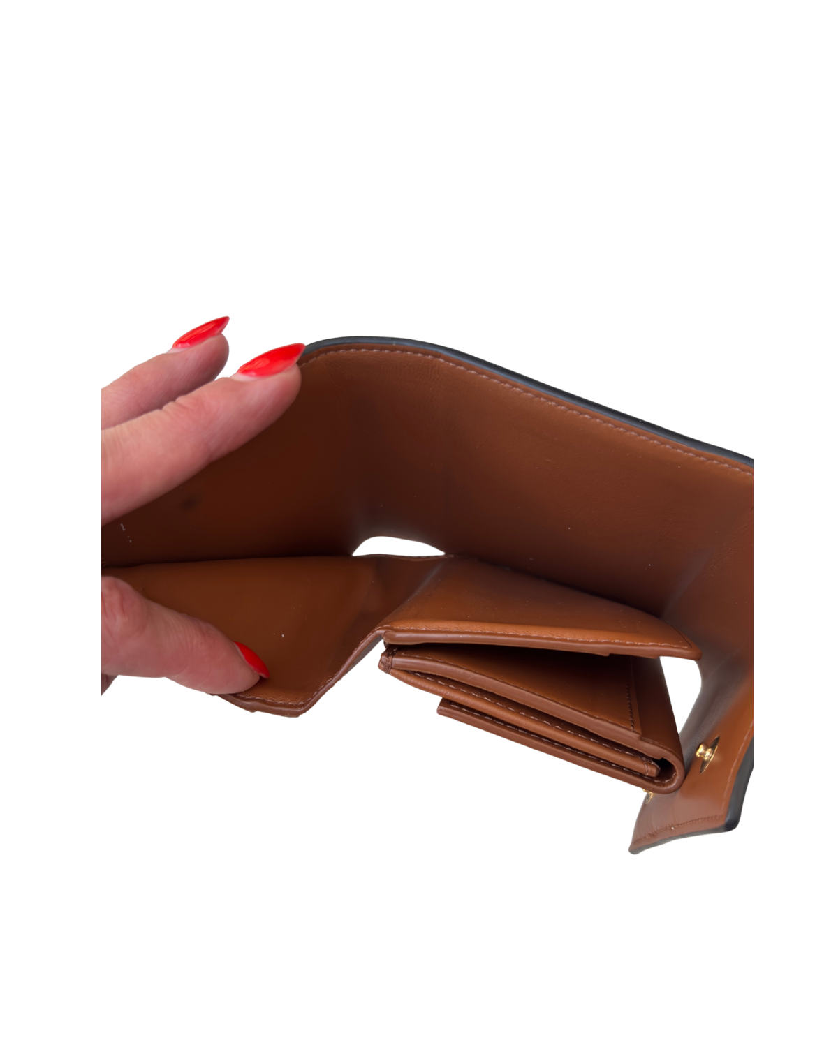 Celine Tan Triomphe Canvas Small Trifold Wallet