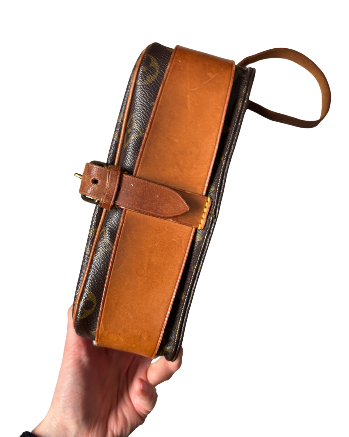 Louis Vuitton Monogram Cartouchiere MM Crossbody