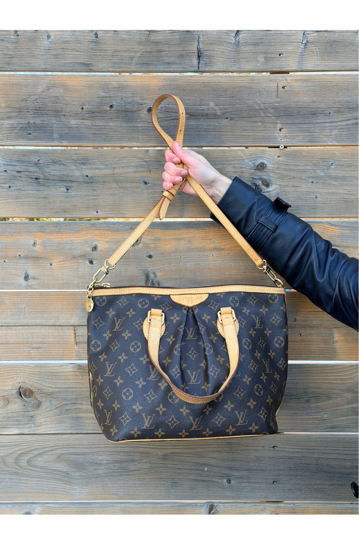 Louis Vuitton Palermo PM Monogram (2018)