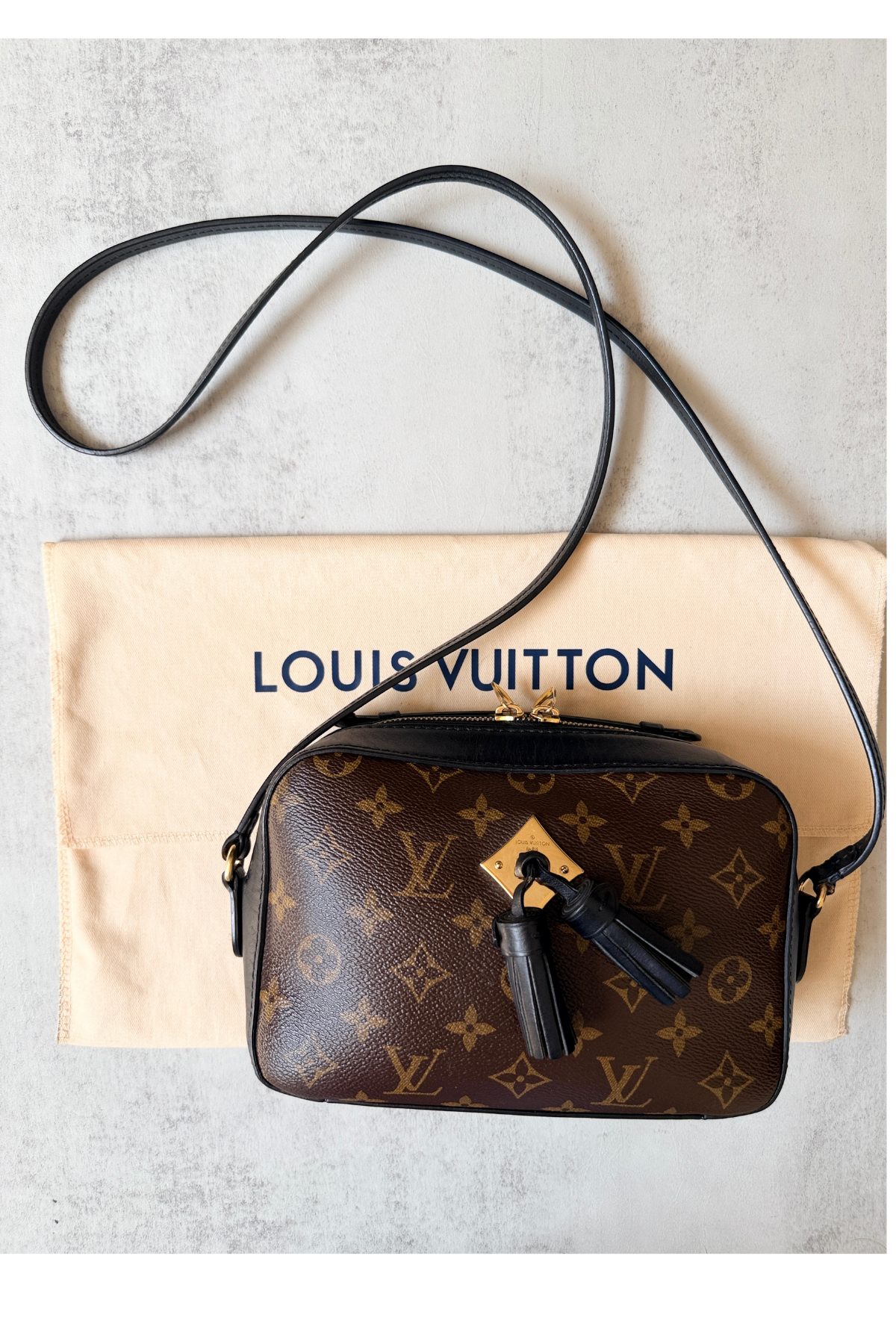 Louis Vuitton Monogram Saintonge Crossbody Bag (2018)
