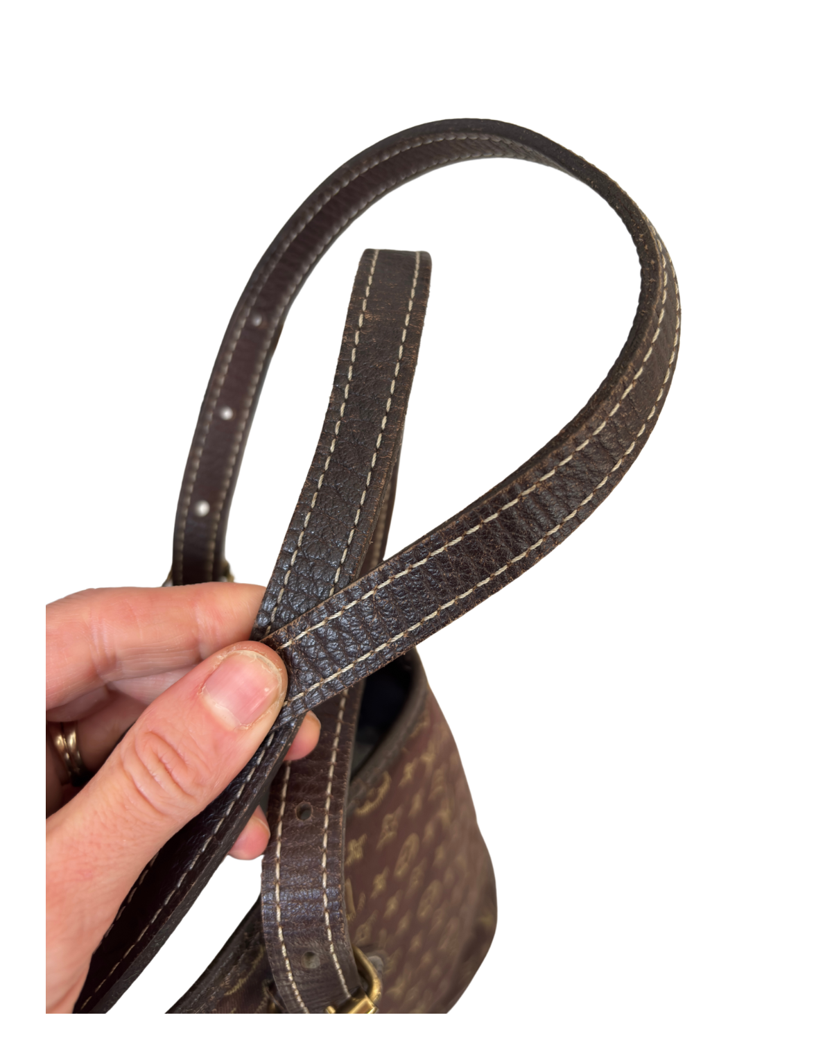 Louis Vuitton Monogram Mini Lin Bucket PM