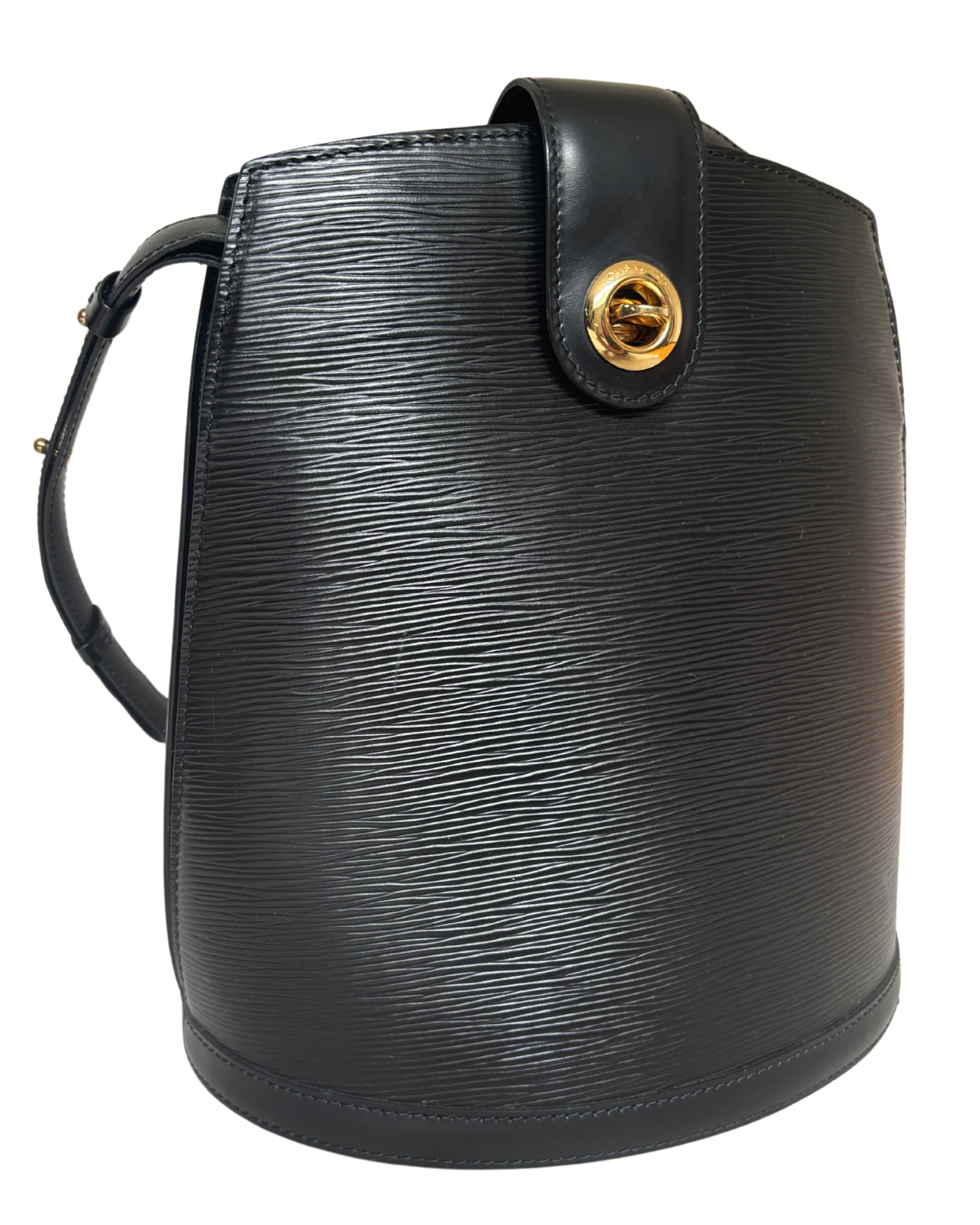 Louis Vuitton Black Epi Leather Cluny Shoulder Bag (1995)