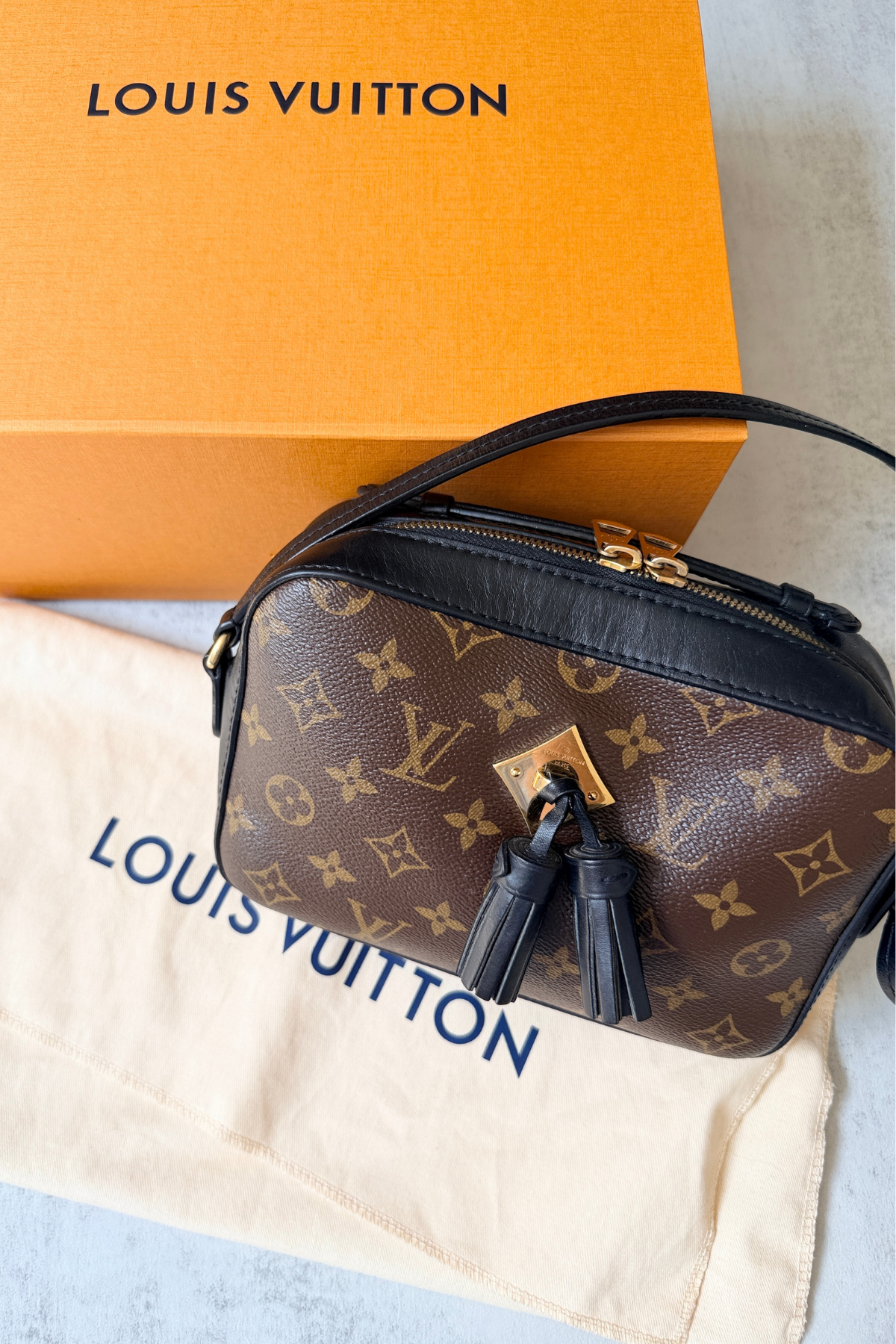 Louis Vuitton Monogram Saintonge Crossbody Bag (2018)